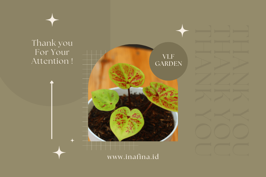 hobi merawat tanaman