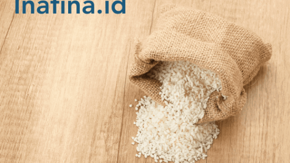 Panduan Paling Lengkap Memulai Usaha Beras