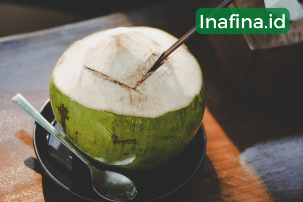 usaha es kelapa muda